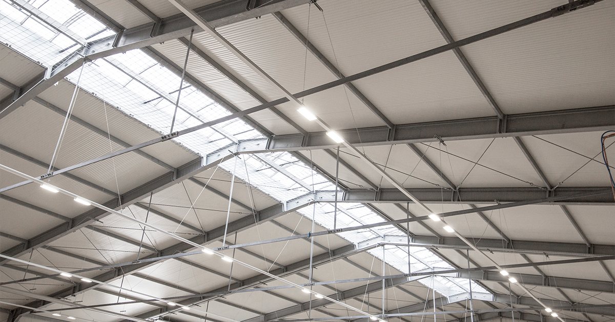 dachform-und-hallenkonstruktion-haltec-hallensysteme