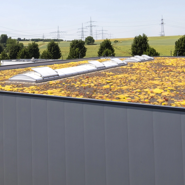 Flachdachhalle mit Dachbegrünung