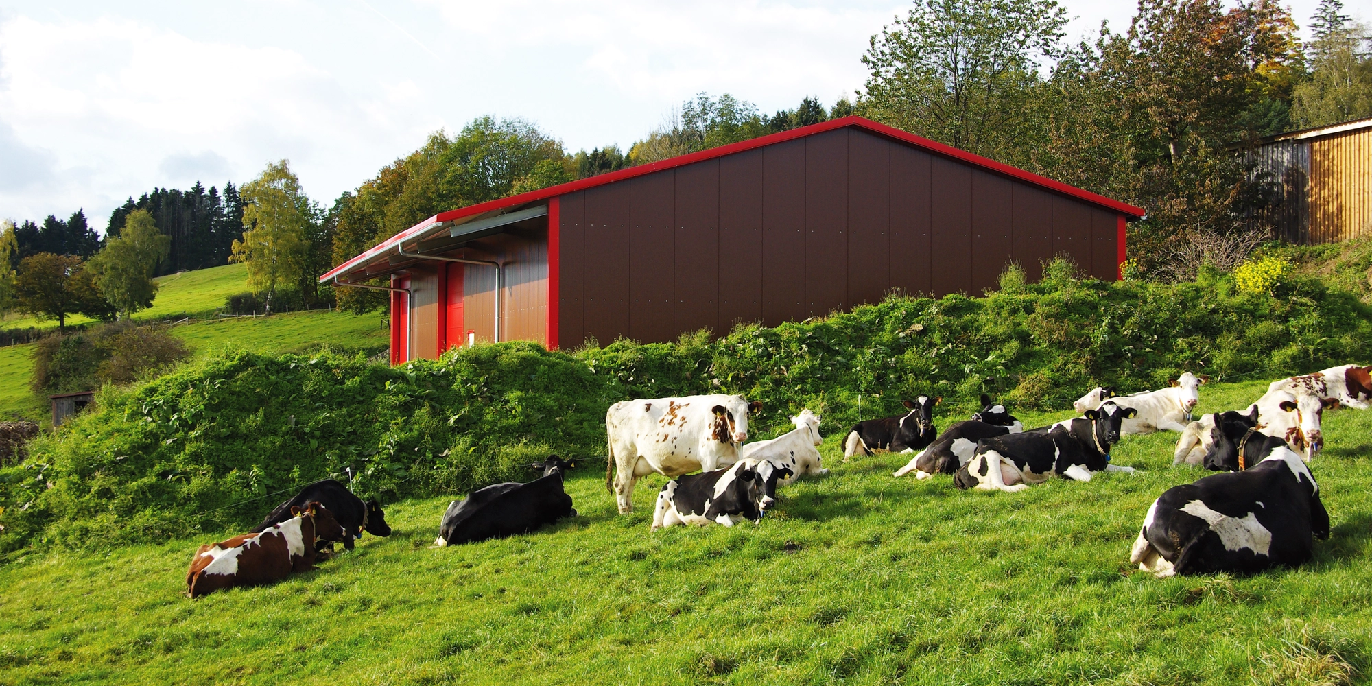 Landwirtschaftliche Halle